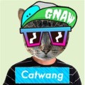 Скачать Catwang для windows phone - онлайн фотошоп